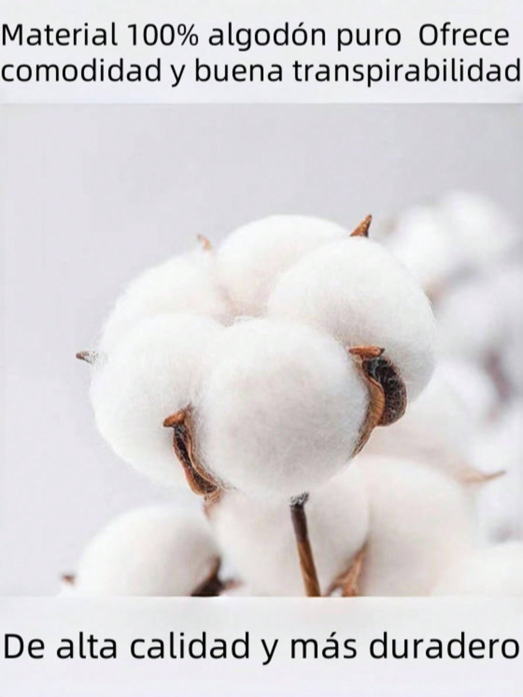 Hombre002-1Camiseta de fibra de leche para hombre